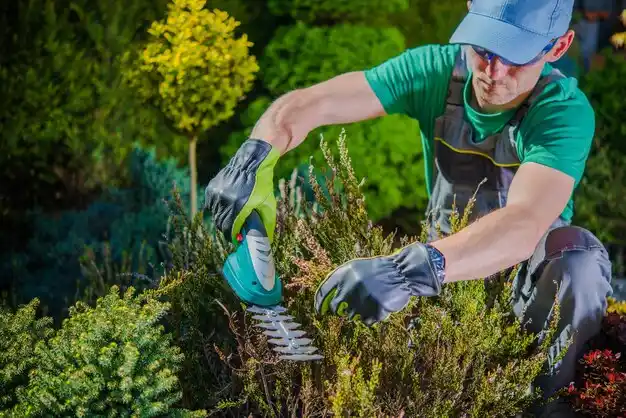 landscaping services Ridgeville Corners